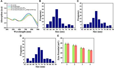 SERS Based Lateral Flow Assay for Rapid and Ultrasensitive Quantification of Dual Laryngeal Squamous Cell Carcinoma-Related miRNA Biomarkers in Human Serum Using Pd-Au Core-Shell Nanorods and Catalytic Hairpin Assembly